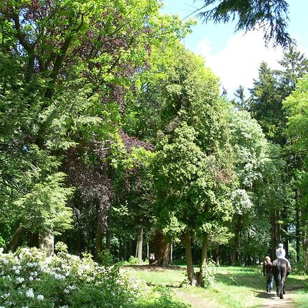 Parkhotel Smržovka Esterno foto